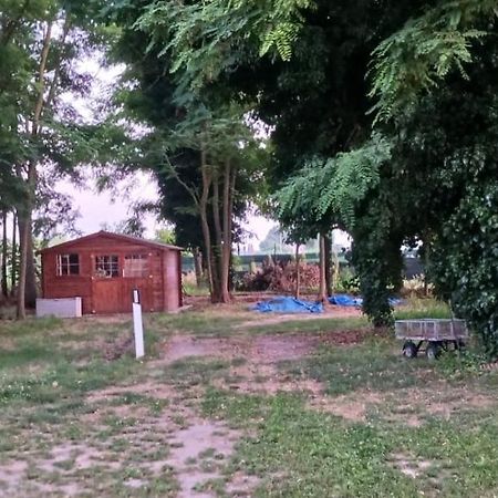 Casetta Di Laura Піза Екстер'єр фото
